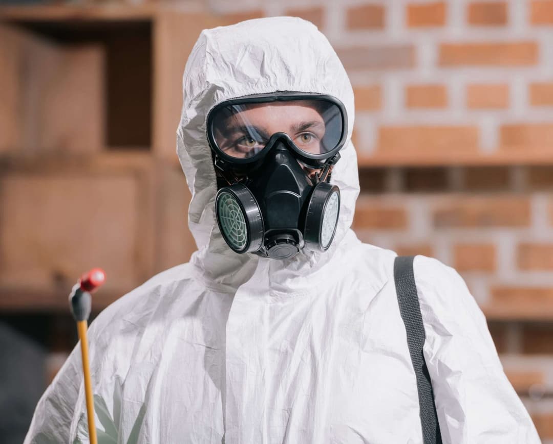 Professional technician